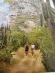 220 Walk on Coffin Island D-D.JPG (55 KB)